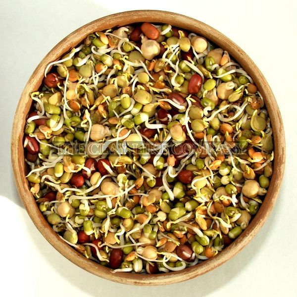 Organic Sprouts Mix